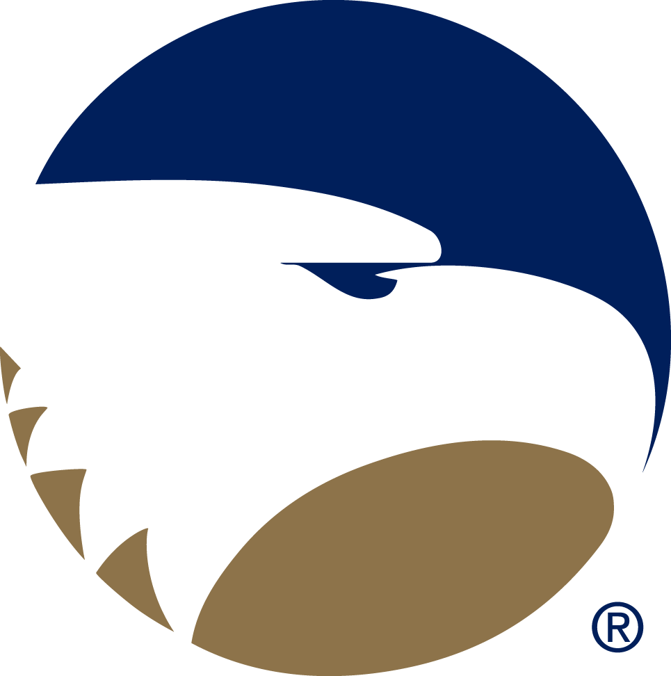 Georgia Southern Eagles 2004-Pres Alternate Logo v3 diy DTF decal sticker